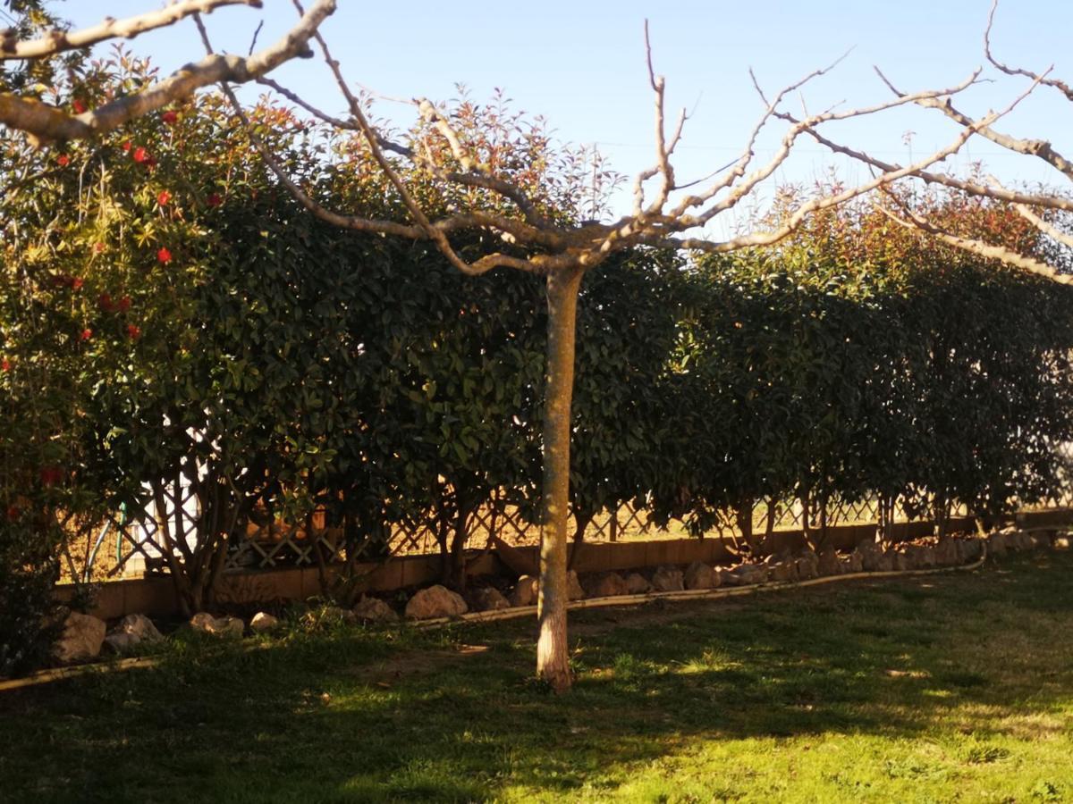 Casa Rural, Masia Antigua Restaurada Begur Εξωτερικό φωτογραφία